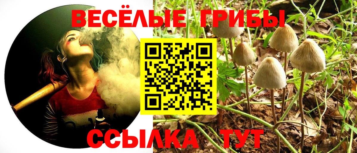 Псилоцибиновые грибы MAGIC MUSHROOMS  Псилоцибиновые грибы Cubensis  Вход с VPN  Пугачёв 
