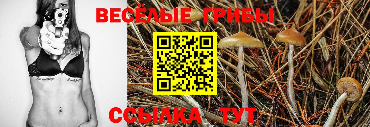 Псилоцибиновые грибы ЛСД Пугачёв