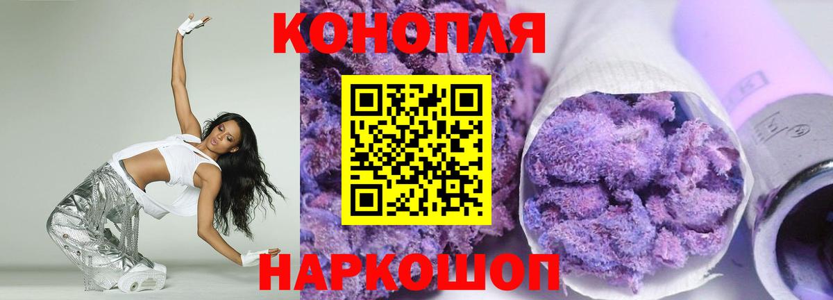 Канабис семена  Марихуана гибрид  Канабис AK-47  Пугачёв  Вход с VPN 